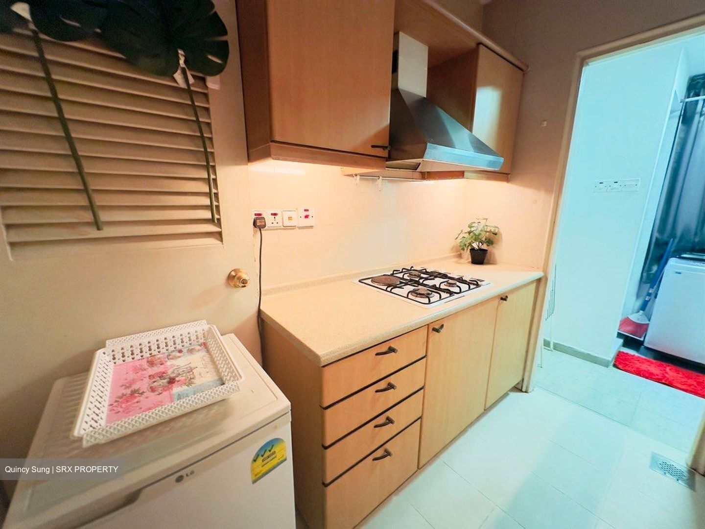 Nineteen Shelford Road (D11), Condominium #465572631